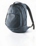 ZAINO1